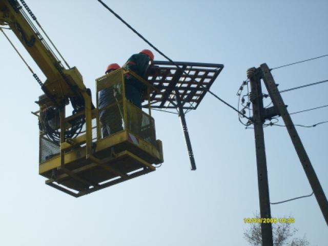 Bociani dom w Adamowie zdjęcie nr 11806