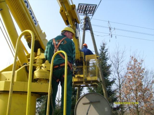Bociani dom w Adamowie zdjęcie nr 11815