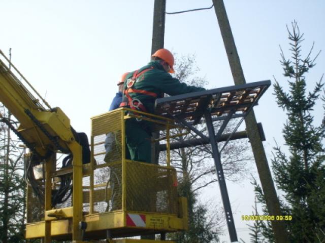 Bociani dom w Adamowie zdjęcie nr 11804