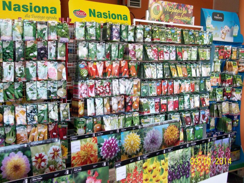 Wiosną wybierz się do MGarden zdjęcie nr 151379