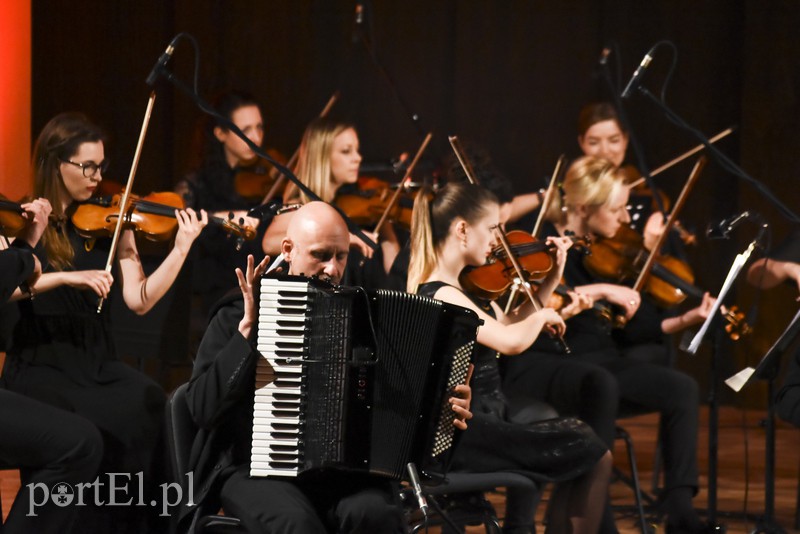 Trzech sympatycznych muzyków i ich akordeony zdjęcie nr 151498