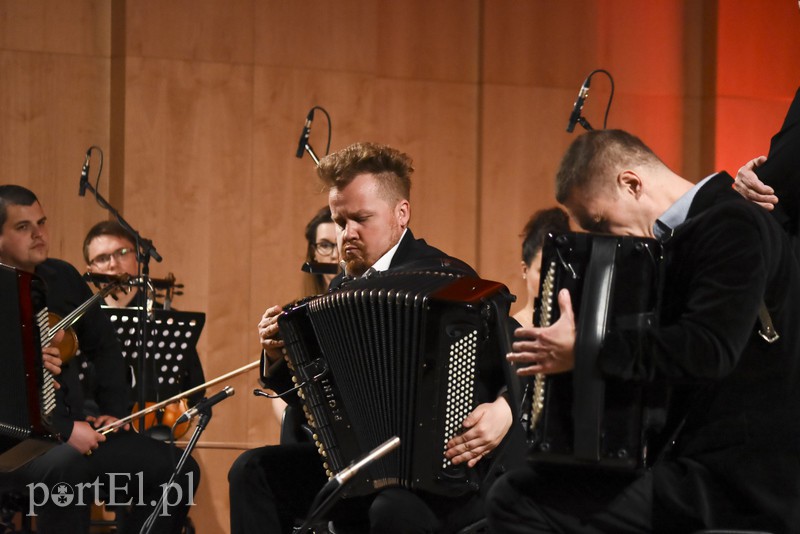 Trzech sympatycznych muzyków i ich akordeony zdjęcie nr 151503