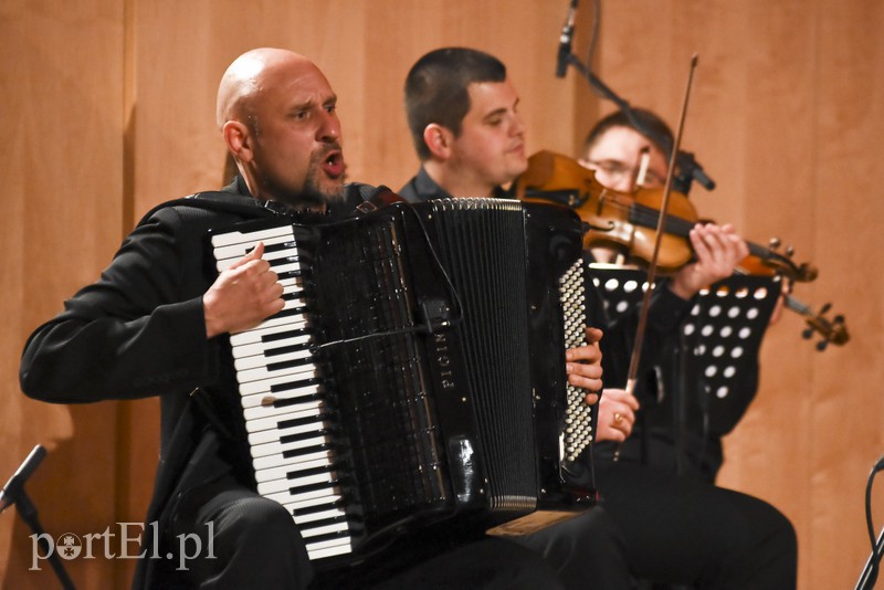 Trzech sympatycznych muzyków i ich akordeony zdjęcie nr 151506