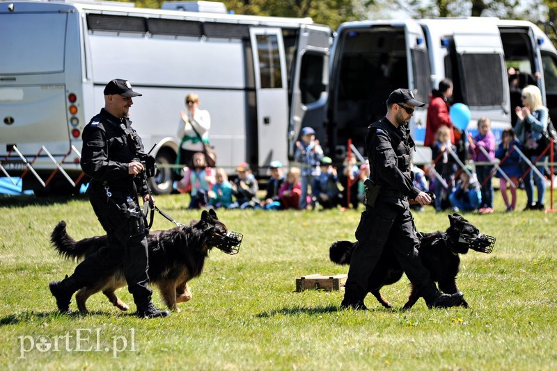 Wystrzałowy festyn służb mundurowych zdjęcie nr 151583