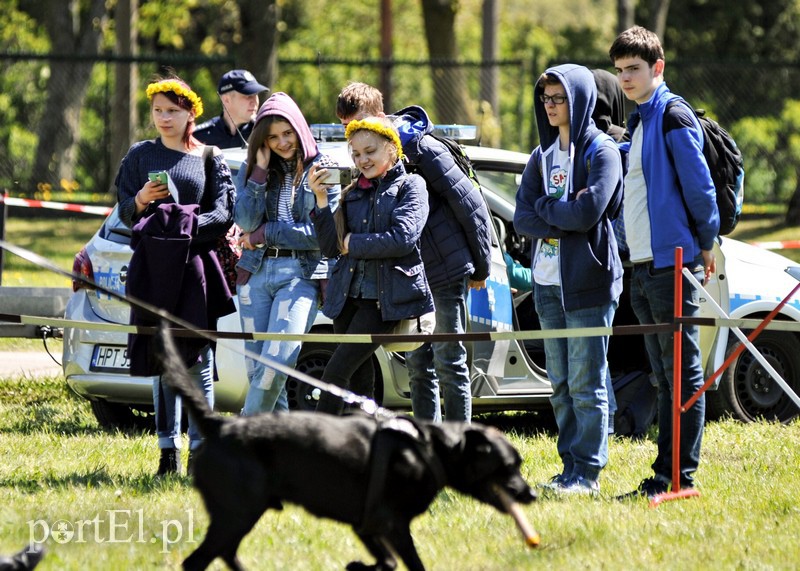 Wystrzałowy festyn służb mundurowych zdjęcie nr 151586