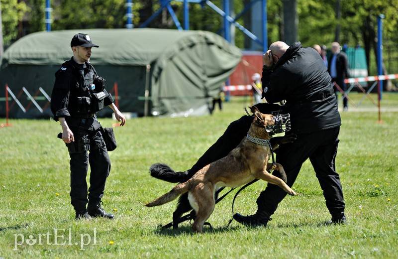 Wystrzałowy festyn służb mundurowych zdjęcie nr 151589