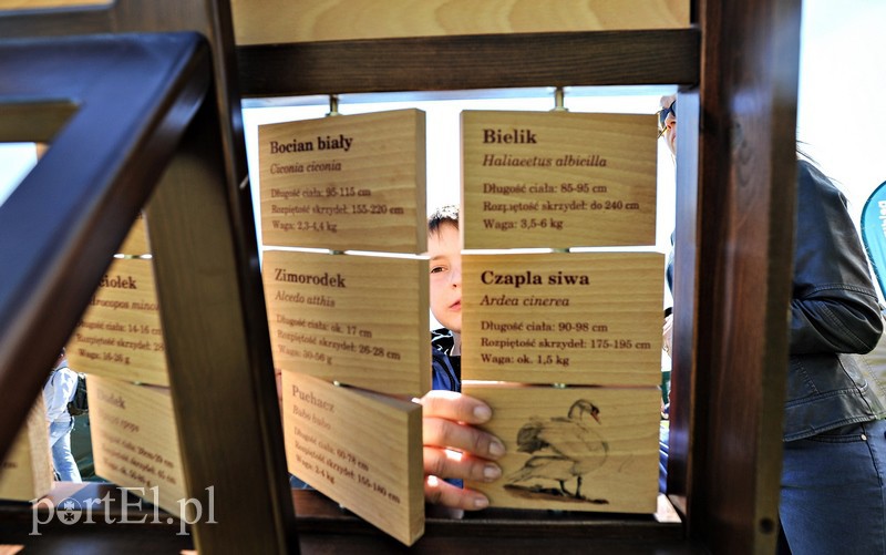 Wystrzałowy festyn służb mundurowych zdjęcie nr 151597