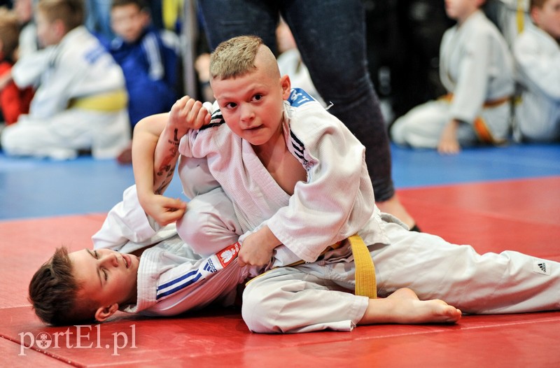 Walczą mali judocy zdjęcie nr 151730