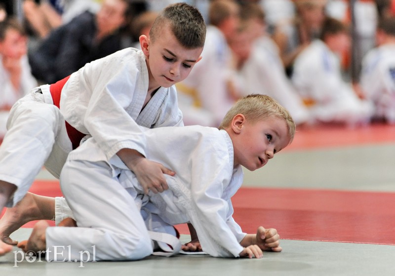 Walczą mali judocy zdjęcie nr 151745