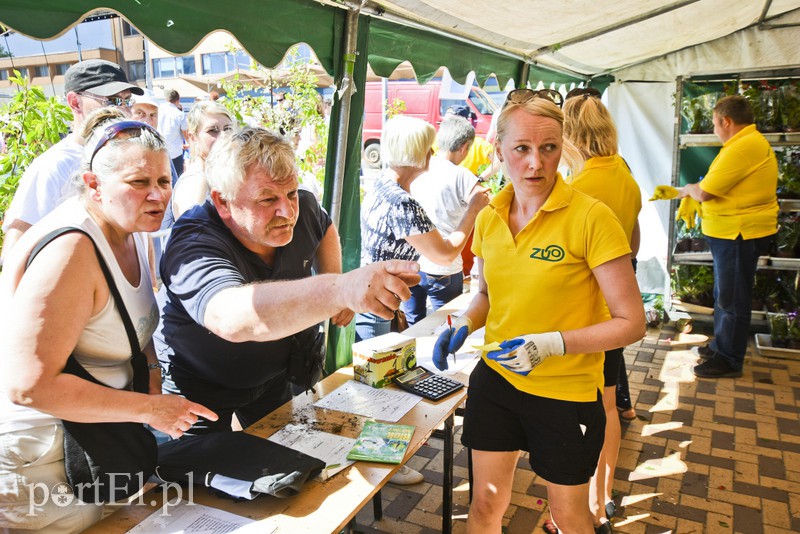 Nakrętki lubimy najbardziej zdjęcie nr 152230