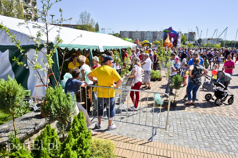 Nakrętki lubimy najbardziej zdjęcie nr 152227