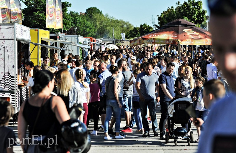 Bulwar przyciąga jedzeniem zdjęcie nr 152772