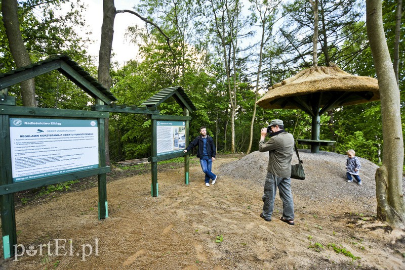 Punkt widokowy w Suchaczu zdjęcie nr 153610