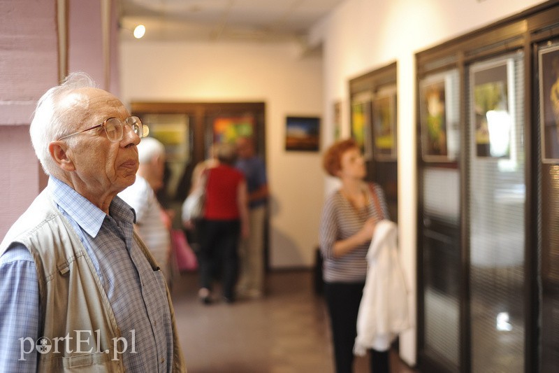 Po zdjęcia lasu trzeba się nachodzić zdjęcie nr 154635