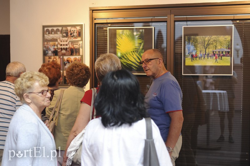 Po zdjęcia lasu trzeba się nachodzić zdjęcie nr 154634