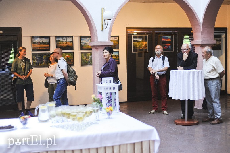 Po zdjęcia lasu trzeba się nachodzić zdjęcie nr 154644