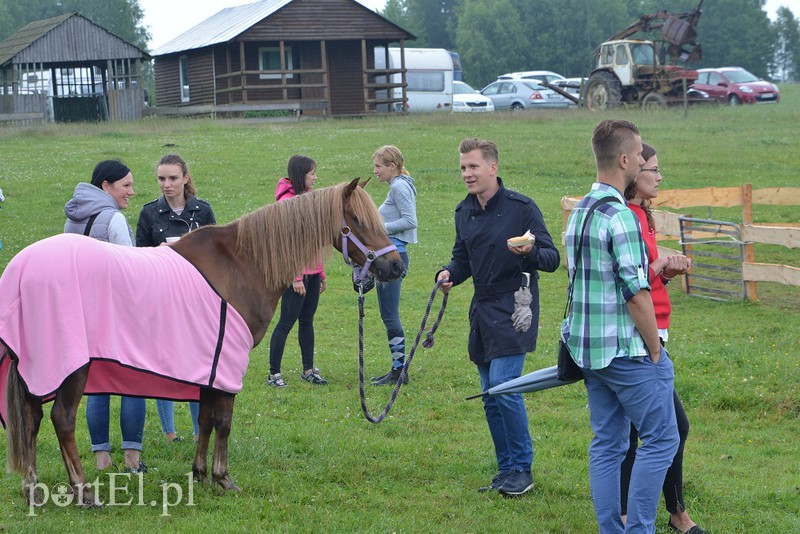 Jeździeckie emocje w Piastowie zdjęcie nr 155199