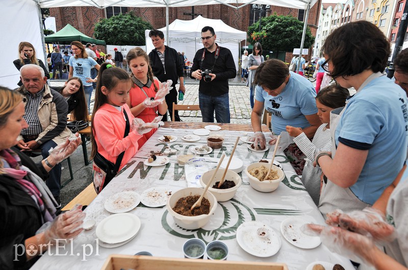 Festiwal sportów wodnych i czasu wolnego zdjęcie nr 155219