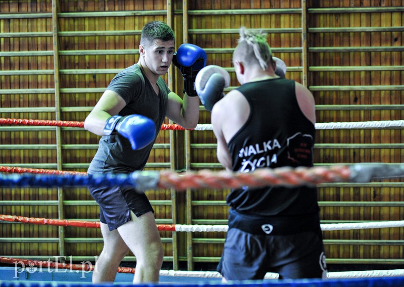 Walka życia według Kuby zdjęcie nr 155359