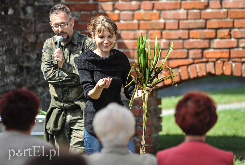 Lato pelne smaków w bibliotece zdjęcie nr 155686