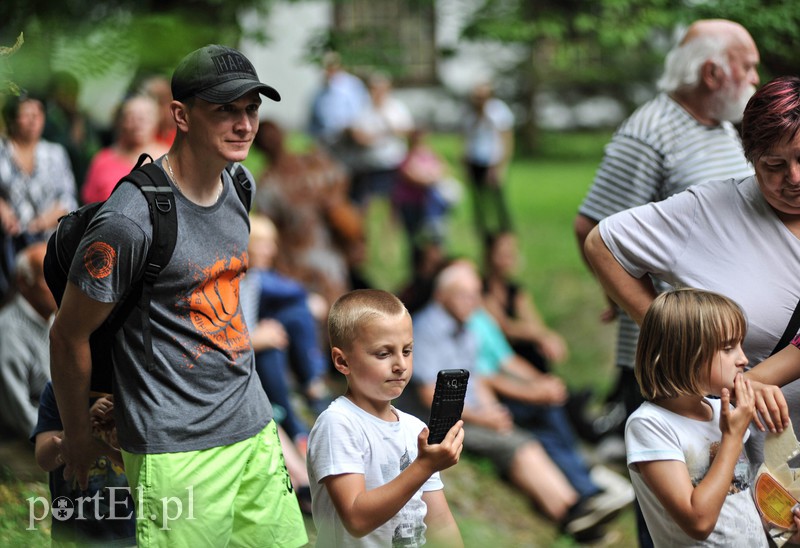 Muzyka Zielonej Wyspy zdjęcie nr 156221