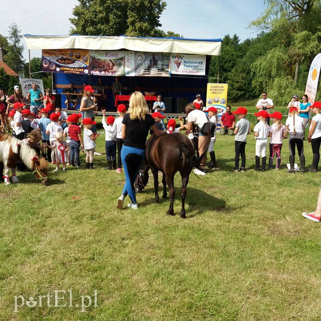 Pony Cup w Narusie zdjęcie nr 156293