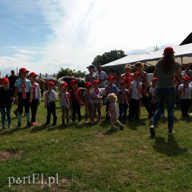 Pony Cup w Narusie zdjęcie nr 156298