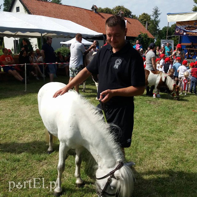 Pony Cup w Narusie zdjęcie nr 156294