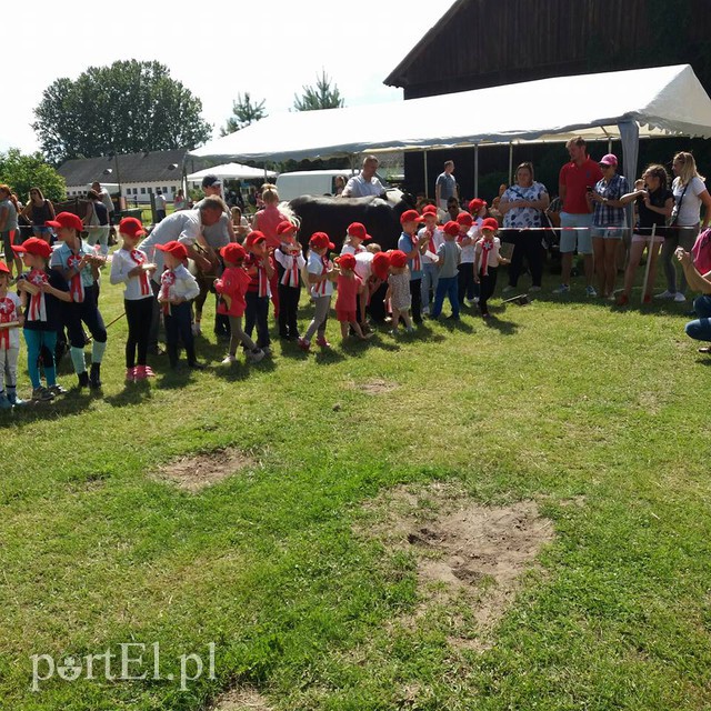 Pony Cup w Narusie zdjęcie nr 156301