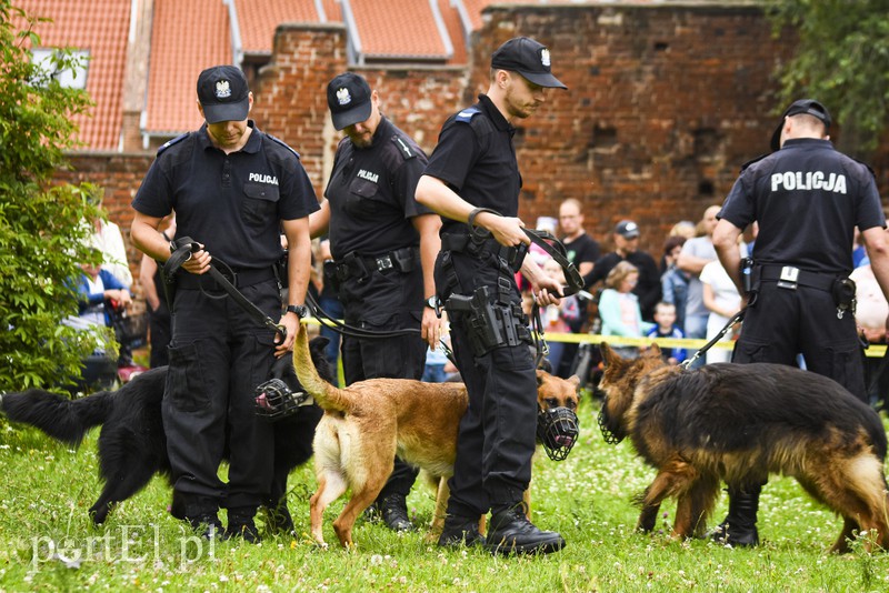 Policyjny festyn na bulwarze zdjęcie nr 156769