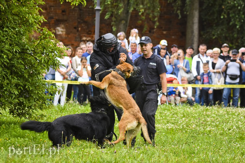 Policyjny festyn na bulwarze zdjęcie nr 156791