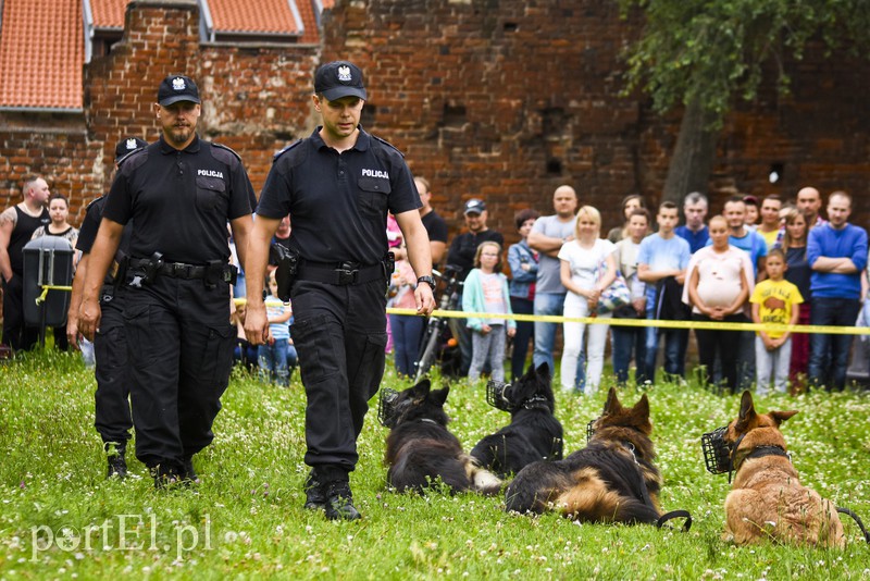 Policyjny festyn na bulwarze zdjęcie nr 156763