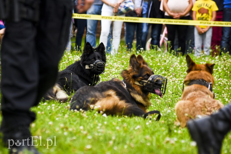 Policyjny festyn na bulwarze zdjęcie nr 156764