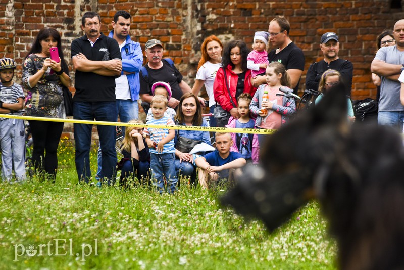 Policyjny festyn na bulwarze zdjęcie nr 156766
