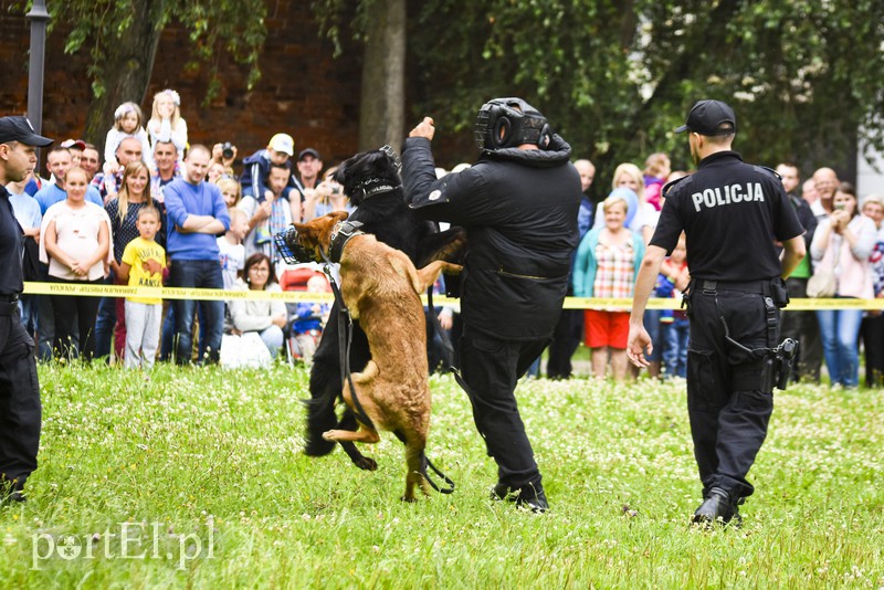 Policyjny festyn na bulwarze zdjęcie nr 156792