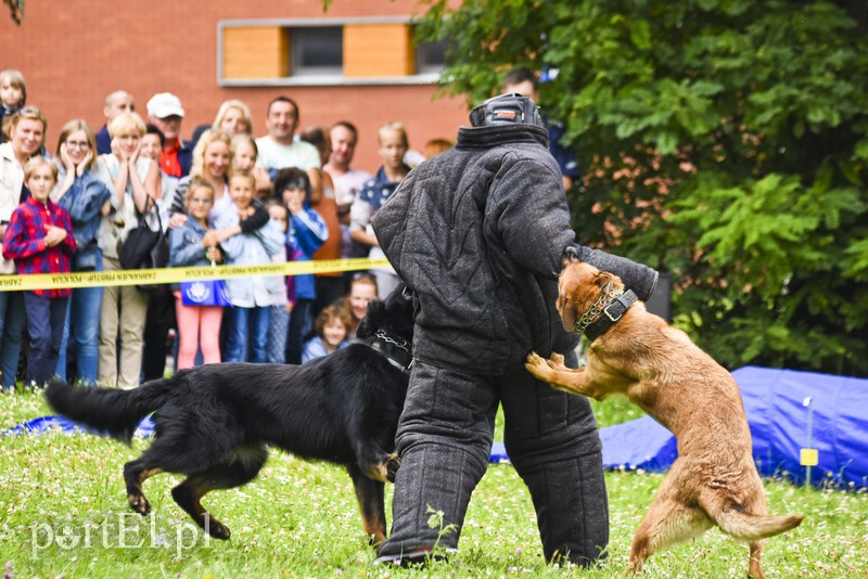 Policyjny festyn na bulwarze zdjęcie nr 156800