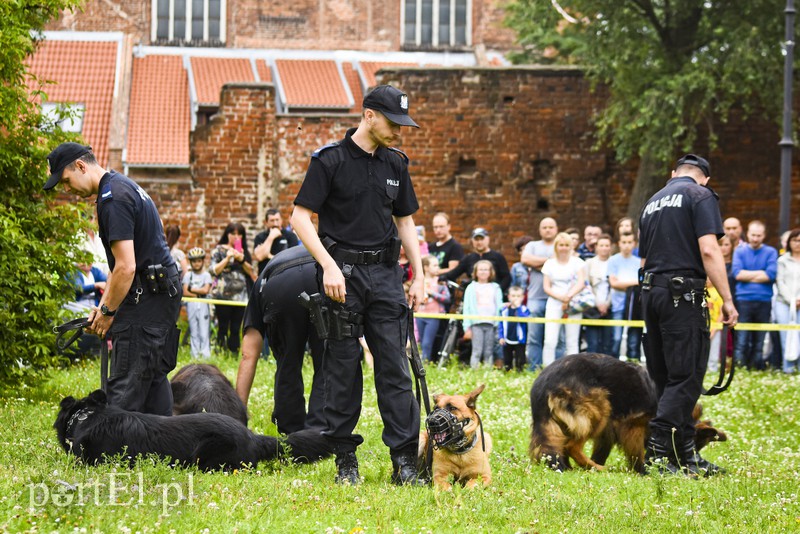 Policyjny festyn na bulwarze zdjęcie nr 156771