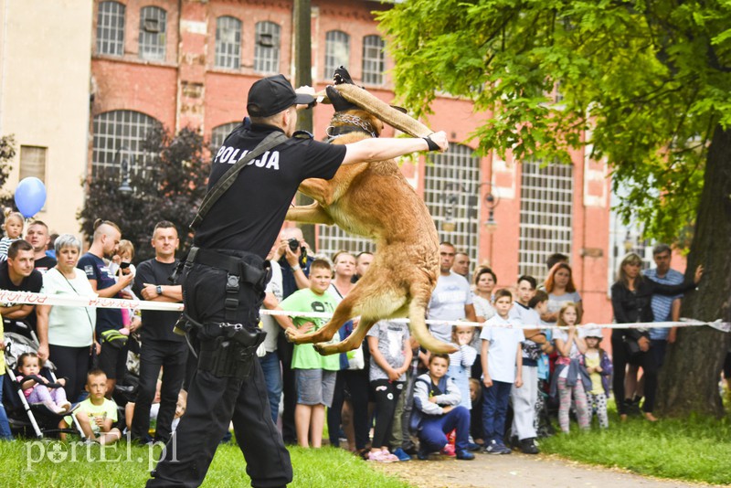 Policyjny festyn na bulwarze zdjęcie nr 156786