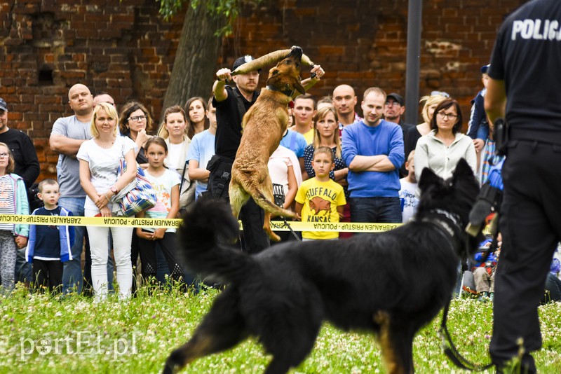 Policyjny festyn na bulwarze zdjęcie nr 156782