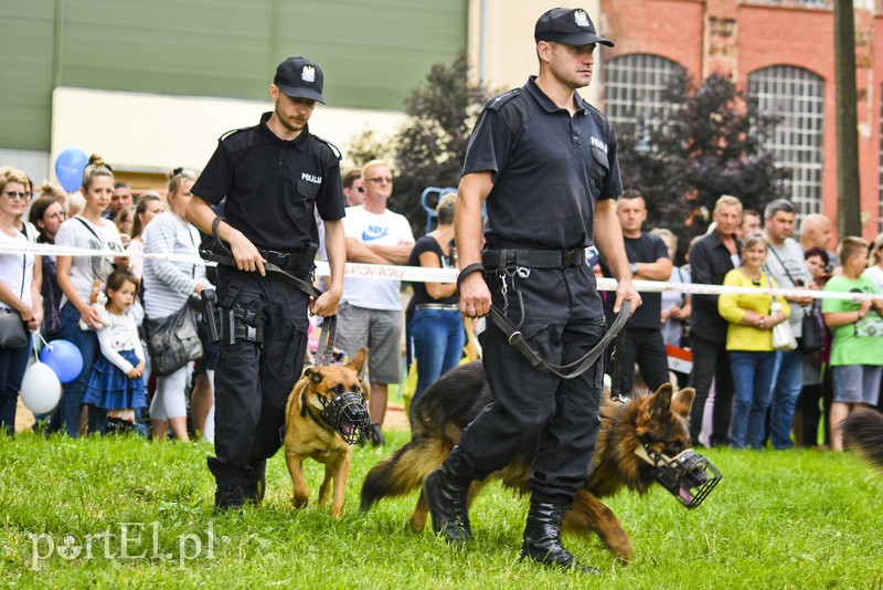 Policyjny festyn na bulwarze zdjęcie nr 156760