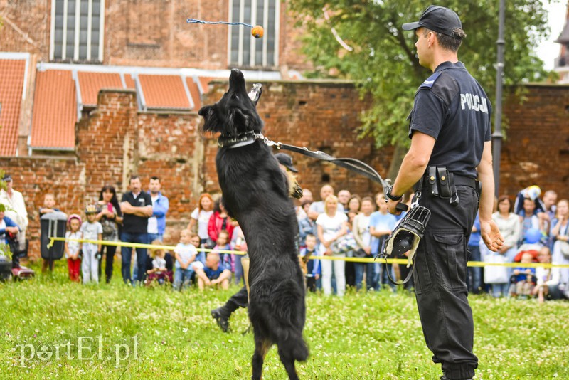 Policyjny festyn na bulwarze zdjęcie nr 156777
