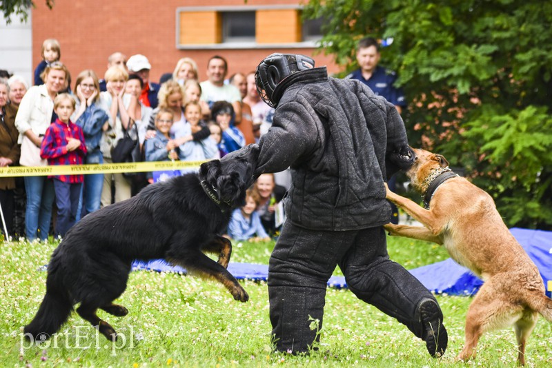Policyjny festyn na bulwarze zdjęcie nr 156801