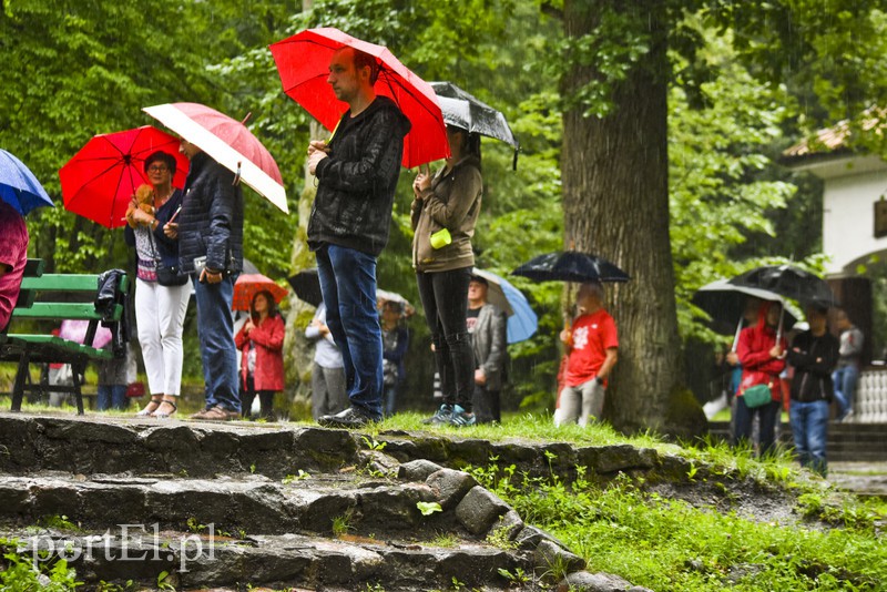 Jazz w strugach deszczu zdjęcie nr 156783