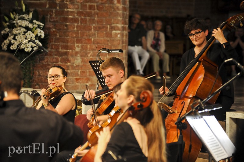 Vołosi rozgrzali elbląską publiczność zdjęcie nr 156924