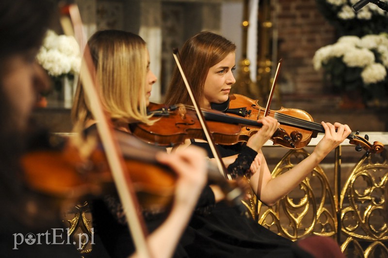 Vołosi rozgrzali elbląską publiczność zdjęcie nr 156930