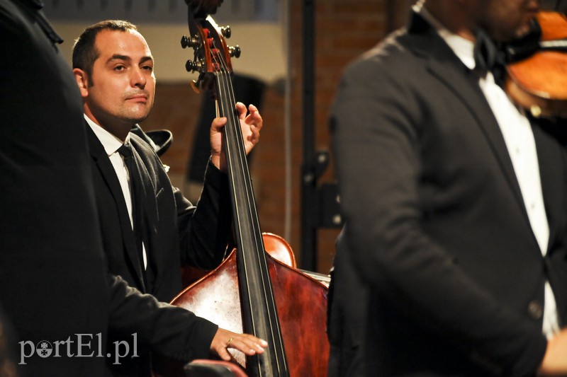 Vołosi rozgrzali elbląską publiczność zdjęcie nr 156896