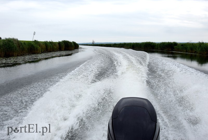 Mało słoneczny patrol zdjęcie nr 157466