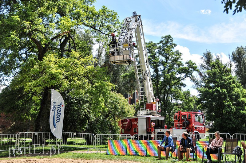 Braterska dominacja na elbląskim boisku  zdjęcie nr 157633