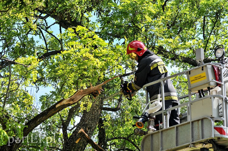 Braterska dominacja na elbląskim boisku  zdjęcie nr 157634