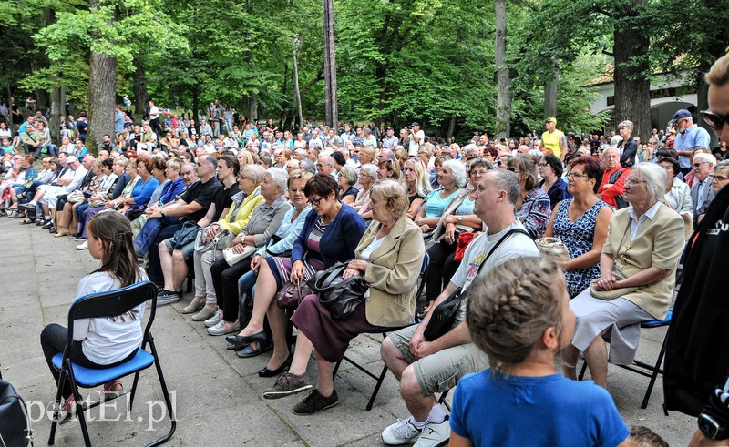 Depesze z Elbląga poszli w las zdjęcie nr 157658